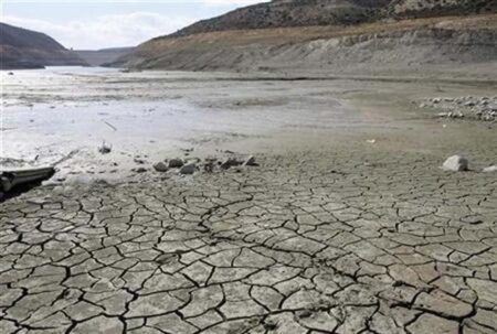 Fighting climate change through courtrooms
