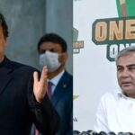 Imran Khan was assaulted at Pakistan’s defeat to India and